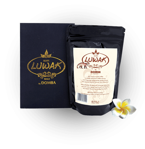 Premium Luwak Coffee